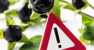 Giftige Pflanzen für Kinden und Babys im Haushalt
