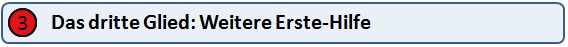 Drittes Glied der Rettungskette